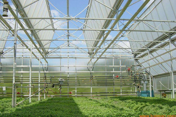 陽光板蔬菜大棚